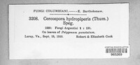 Image Associated With the Occurence